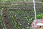 Soldiers Hill VICpermaculture-5.jpg; ?>