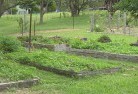 Soldiers Hill VICpermaculture-8.jpg; ?>